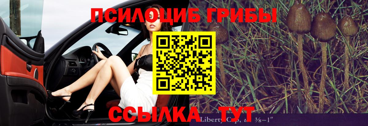 наркота  Вход с VPN  Пугачёв  Галлюциногенные грибы Magic Shrooms 